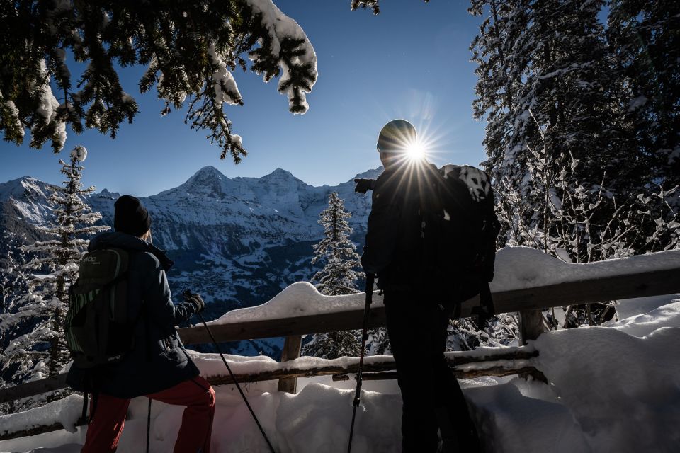 From Interlaken: Guided Snowshoe Tour Around Isenfluh - Nearby Attractions and Activities