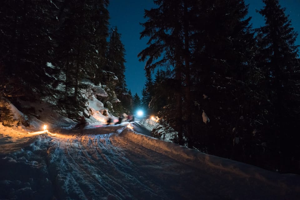 From Interlaken: Night Sledding With Cheese Fondue Dinner - Exploring the Swiss Alps