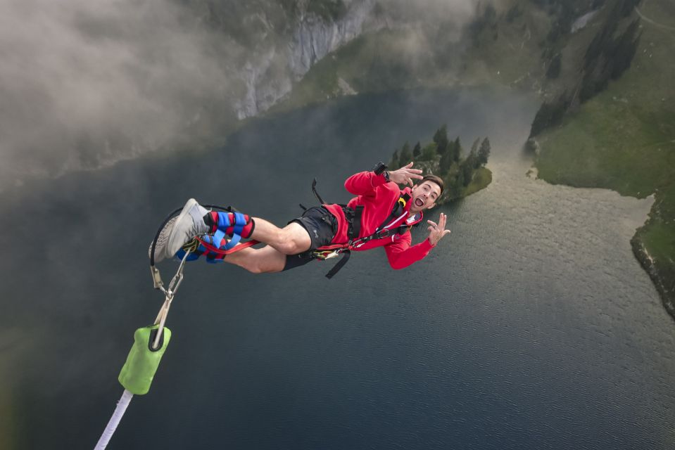 From Interlaken: Stockhorn Bungee Jump - Customer Reviews