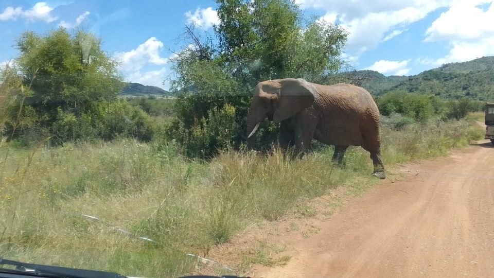 From Johannesburg: 7-Day Kruger National Park Tour - Exploring Johannesburg and Soweto