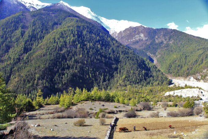 From Kathmandu: 14 Day Annapurna Circuit Trek From Kathmandu - Best Trekking Seasons