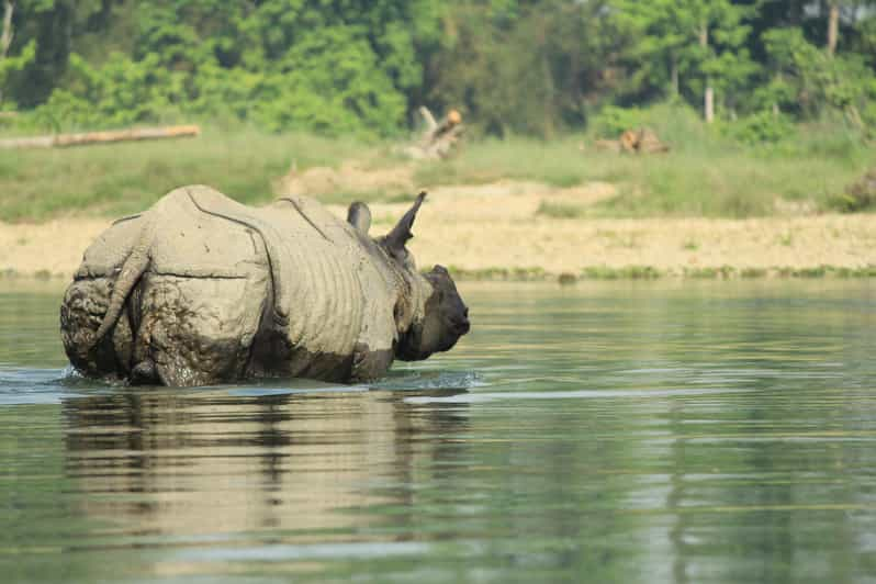 From Kathmandu: 4-Day Chitwan National Park Safari - Cultural Experiences