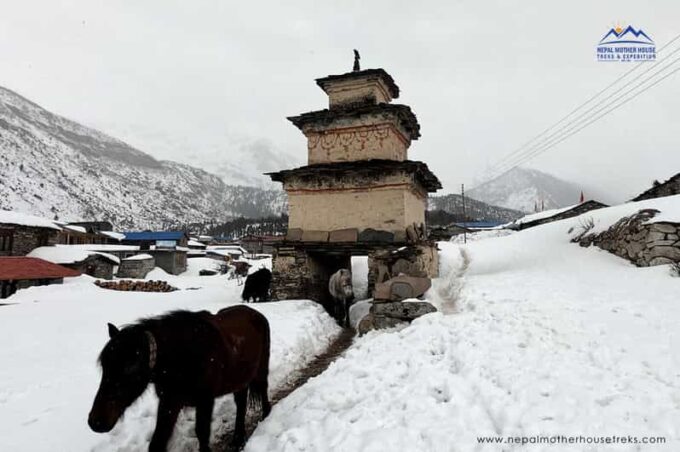 From Kathmandu: Manaslu Circuit Tea House Trek 11 Days - Booking Information