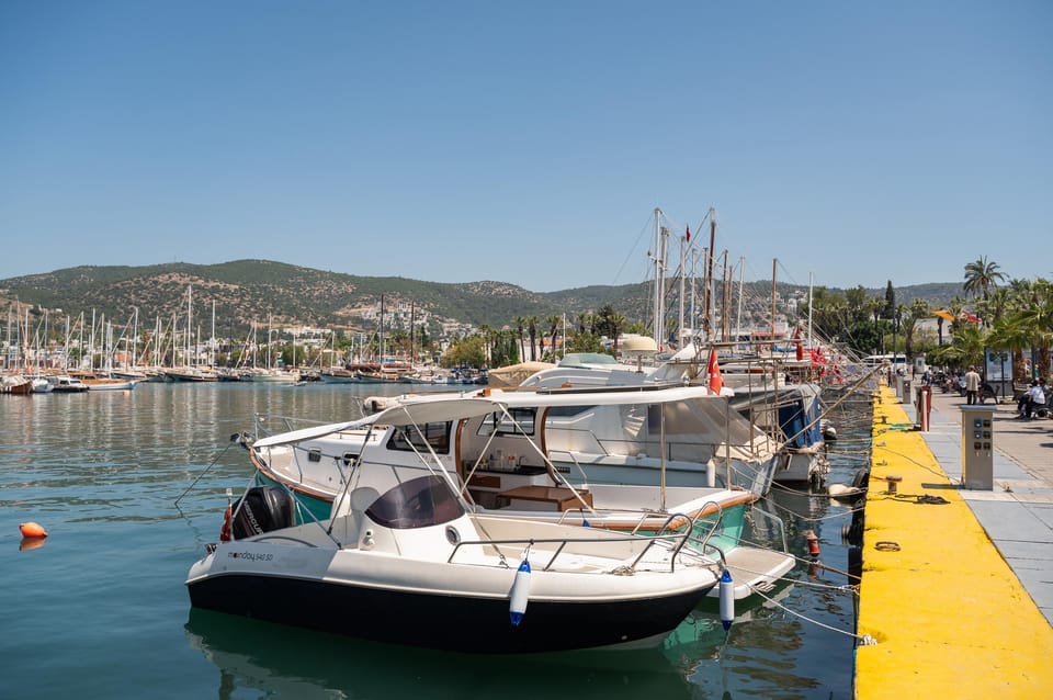 From Kos: a Day Ride to Bodrum With Comfortable Transfer - Important Travel Information