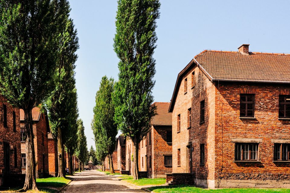 From Krakow: Auschwitz-Birkenau Tour With Transportation - Historical Significance of Auschwitz