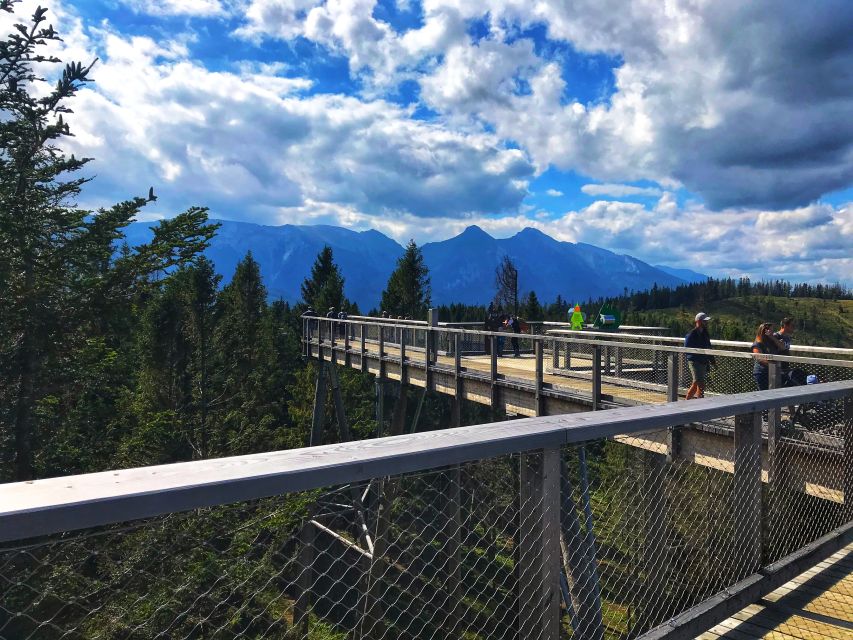 From Krakow: Treetop Walk & Zakopane Visit Small Group Tour - Customer Feedback and Reviews