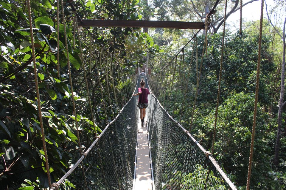 From Kuala Lumpur: Taman Negara National Park Day Tour - Meeting Point Details