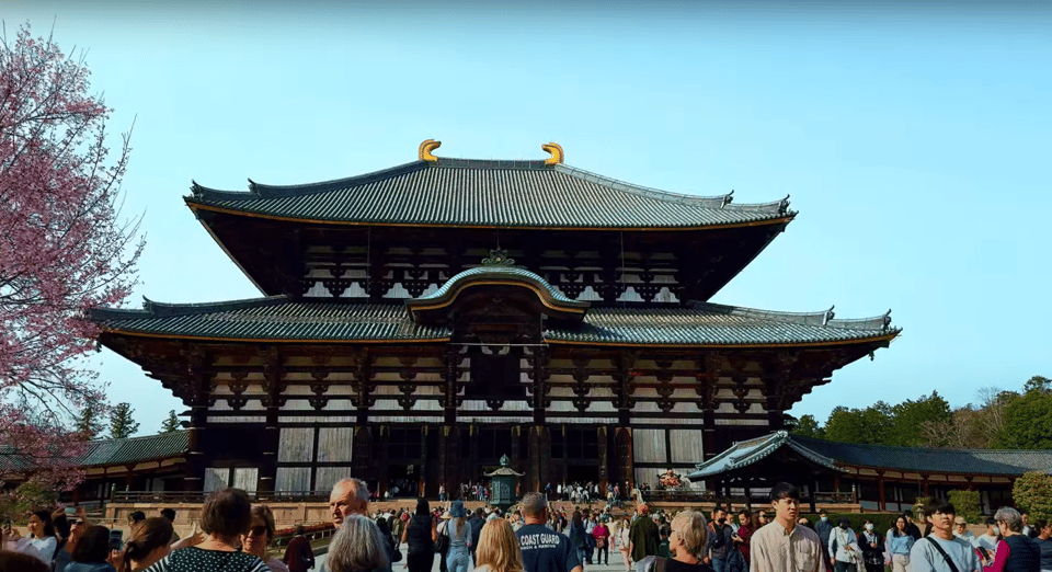 From Kyoto/Osaka: Nara Sightseeing Private Day Tour - Frequently Asked Questions