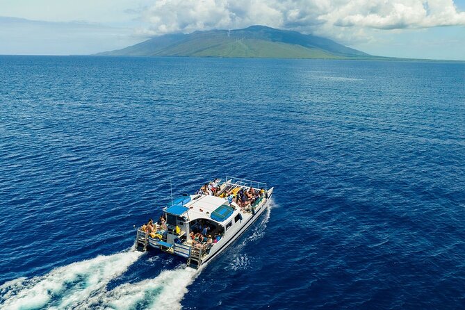 From Maalaea Harbor: Afternoon Molokini or Coral Gardens Snorkel Aboard Malolo - Booking Information and Tips