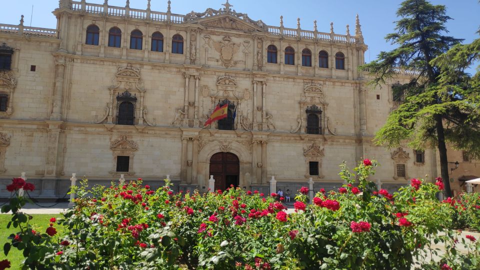 From Madrid: Alcalá De Henares & Cervantes Museum Day Trip - Meeting Point and Departure