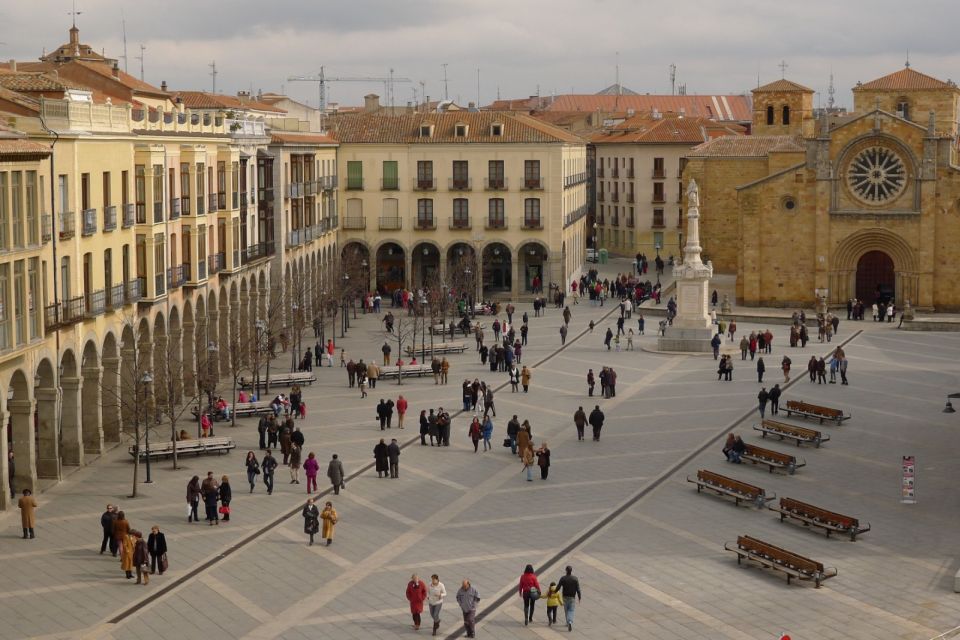 From Madrid: Avila, Segovia & Toledo Private Tour - Accessibility Information