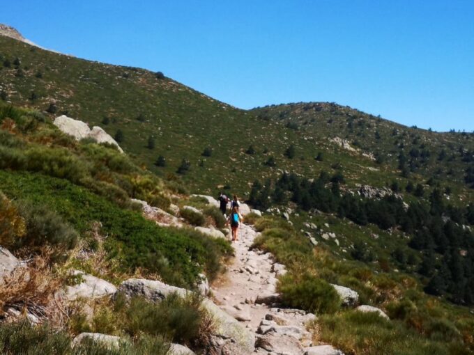 From Madrid: Day Trip to Guadarrama National Park - Discounts and Student Benefits