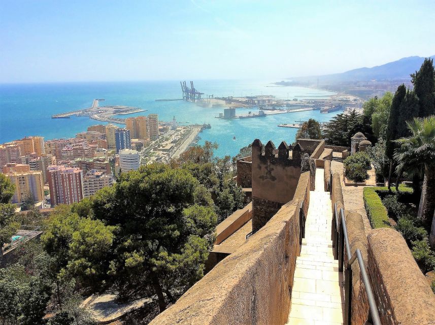 From Marbella: Malaga Private Tour - Transportation