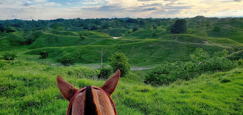 From Medellin; (All-In) The Real Horseback Ranch Experience - How to Prepare for Your Adventure