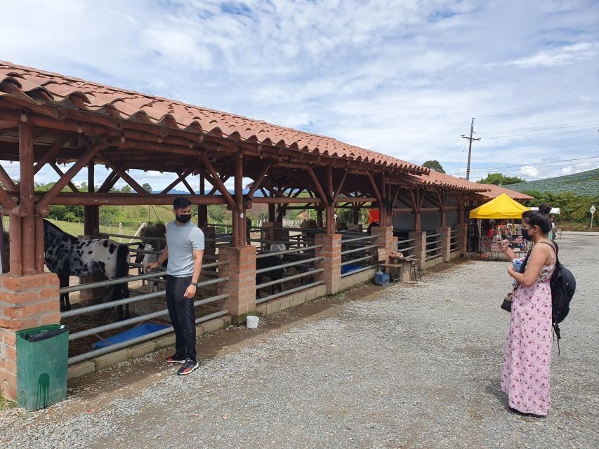 From Medellín: The Peñón Rock and Guatapé Town Private Tour - Additional Activities