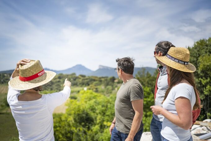 From Montpellier: Half-Day Vineyard & Pic Saint-Loup Tour - Travel Tips