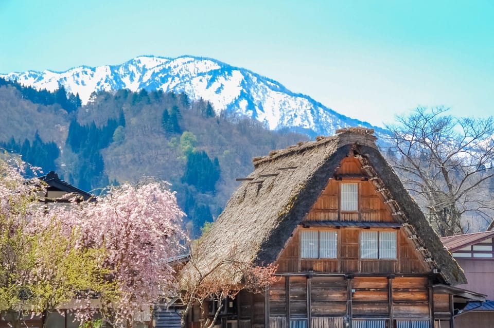 From Nagoya: Shirakawa-Go Bus Ticket With Hida Beef Lunch - Booking Instructions