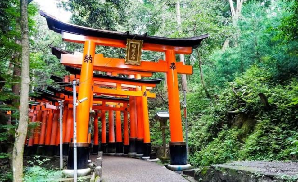 From Osaka: Kyoto Full Day Sightseeing Private Tour - Customer Feedback and Reviews