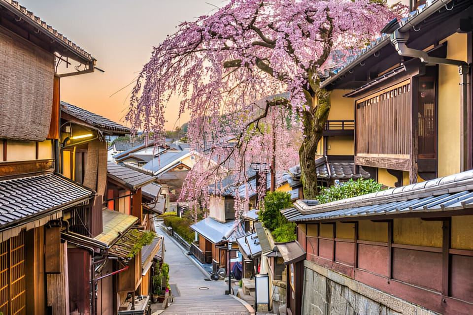 From Osaka or Kyoto: Kyoto and Nara Private Day Trip - Frequently Asked Questions