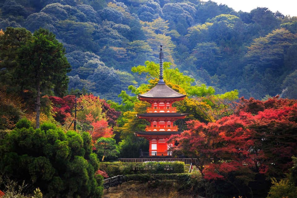 From Osaka or Kyoto : Kyoto & Nara Private Tour - Frequently Asked Questions