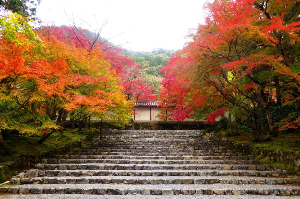 From Osaka to Kyoto: Arashiyama Bamboo Forest Tour - Booking and Cancellation Policy