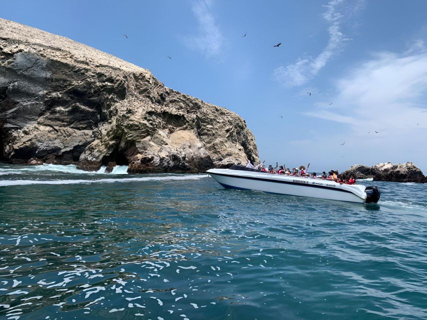 From Paracas: Ballestas Island Marine Wildlife Watching - Free Cancellation Policy