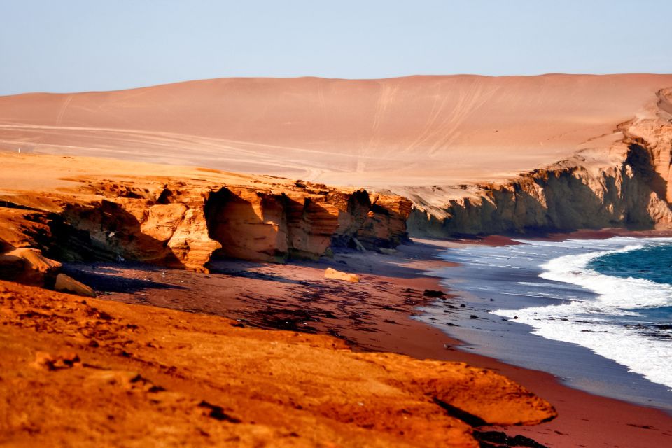 From Paracas: Paracas National Reserve Private Tour - Wildlife and Natural Attractions