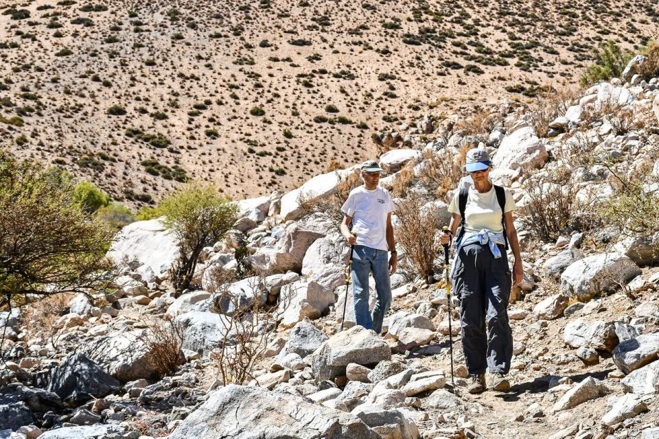 From Pisco Elqui: Cochiguaz River Valley Nature Hike - Hiking Trail Information