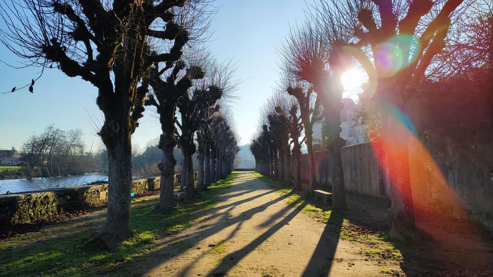 From Poitiers: Private Tour of Saint-Savin - Local Culture and History