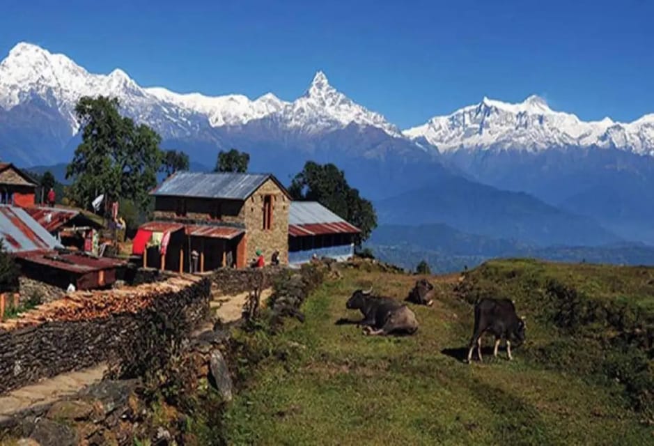 From Pokhara : 2-Days Private Trek to Panchase Hill - Local Culture and Hospitality