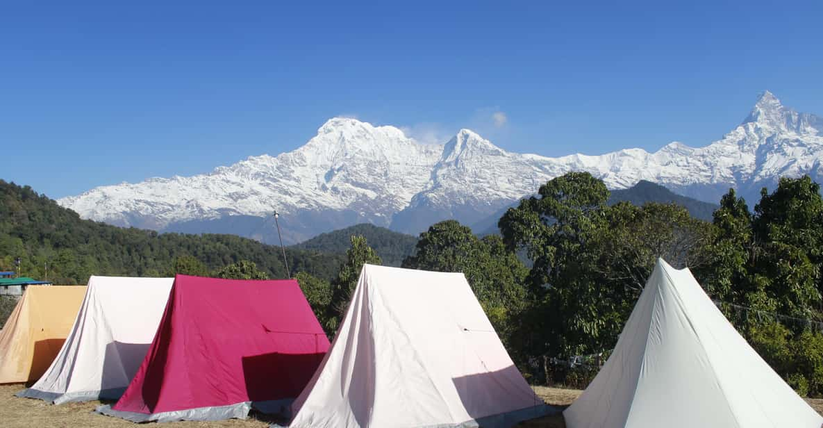 From Pokhara: Day Hiking Australian Camp With Local Guide - Scenic Highlights