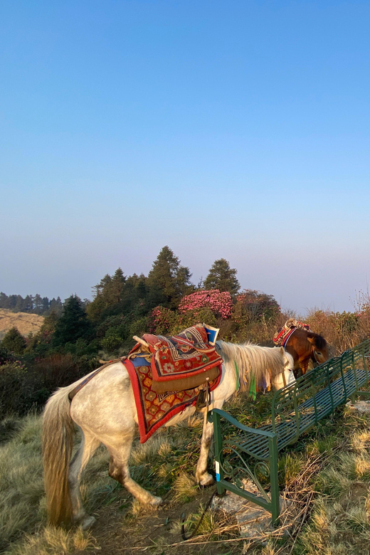 From Pokhara: Poon Hill Day Tour With Short Hiking - Best Seasons to Visit