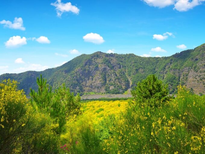 From Pompei: Mount Vesuvius Sunset Trip With Entry Ticket - Planning Your Visit