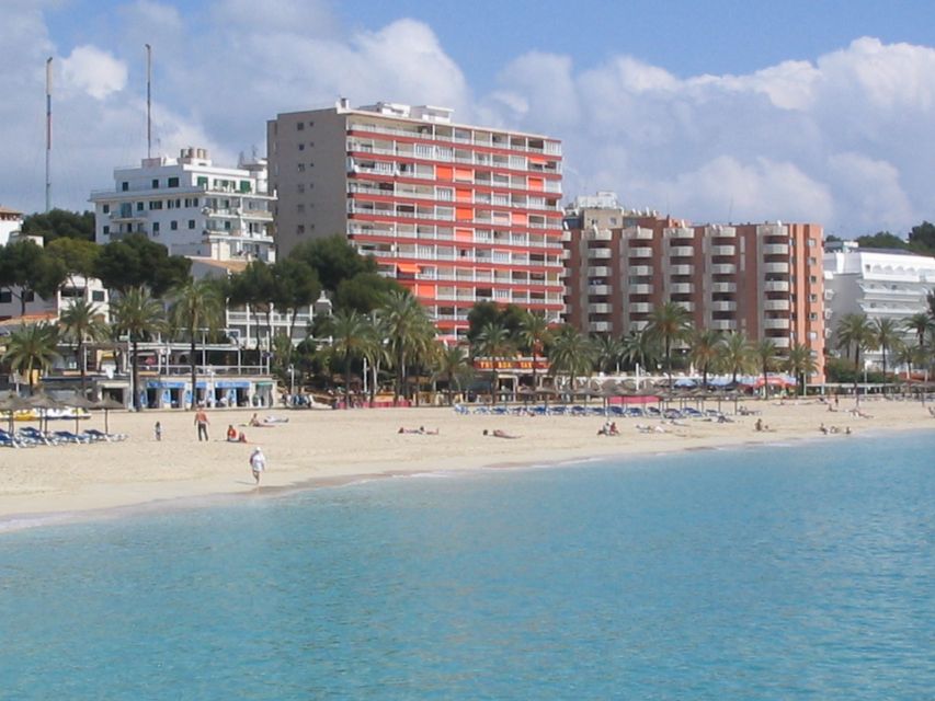 From Port Alcudia: Magaluf Shuttle Bus - Frequently Asked Questions