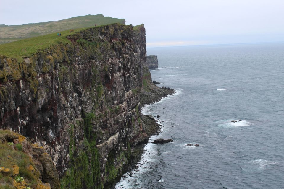 From Reykjavík: 3-Day Tour of the Wild Westfjords - Wildlife Encounters