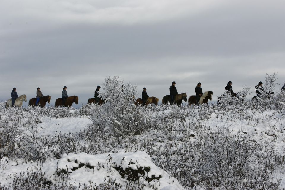 From Reykjavík: Icelandic Horse Riding Tour in Lava Fields - Frequently Asked Questions