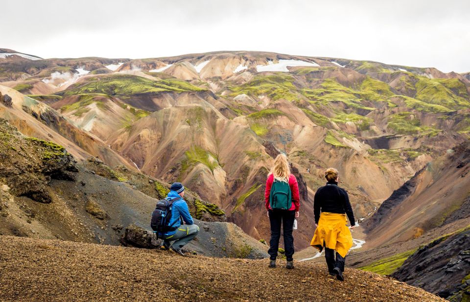 From Reykjavik: Landmannalaugar Day Hike - Customer Reviews