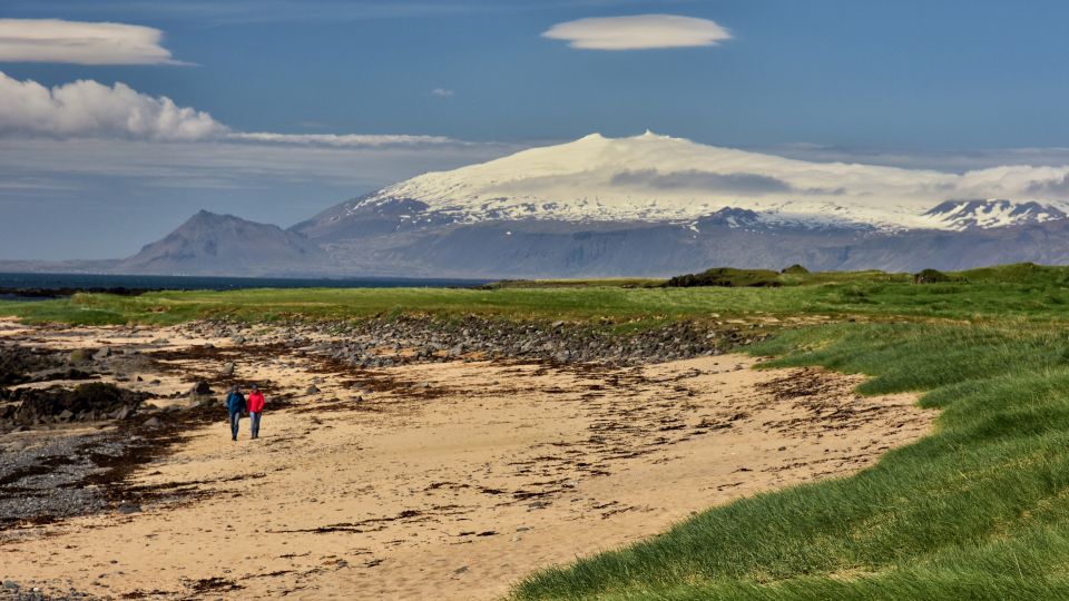 From Reykjavik: Snaefellsnes National Park - Small Group - Wildlife Opportunities