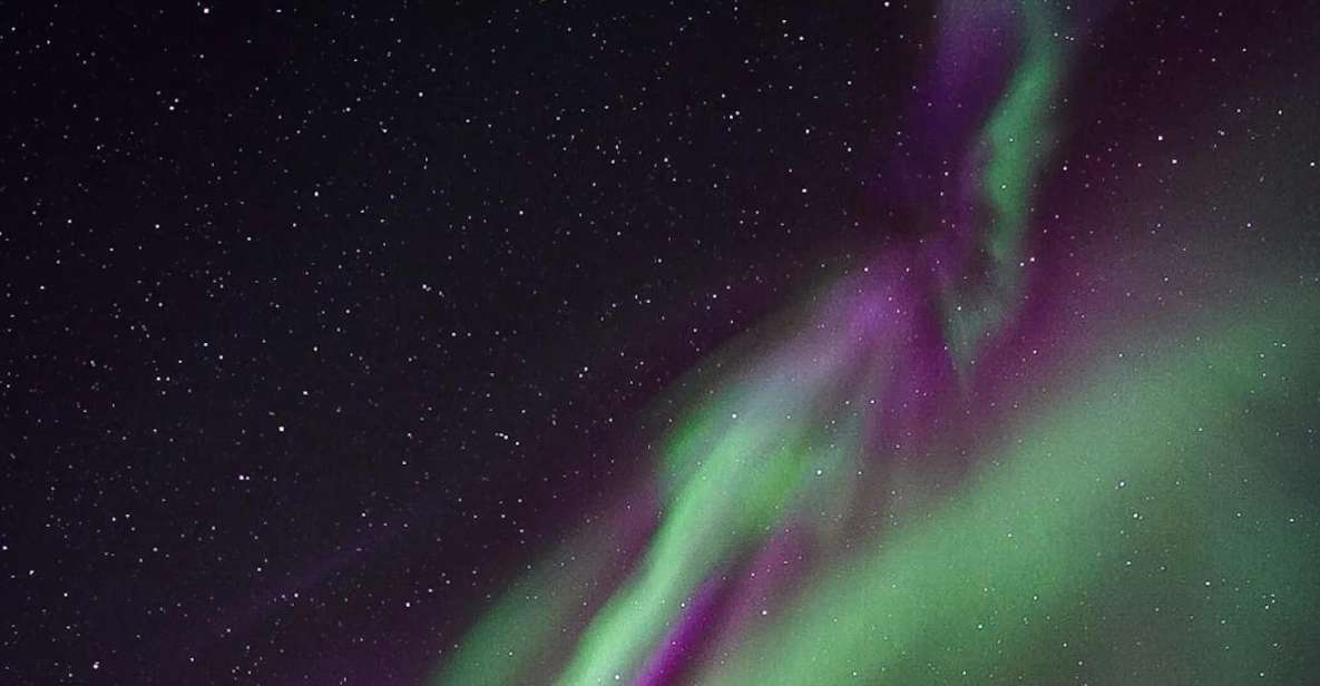 From Rovaniemi: Aurora Dreamscape Tour in the Wild - Tips for a Great Experience