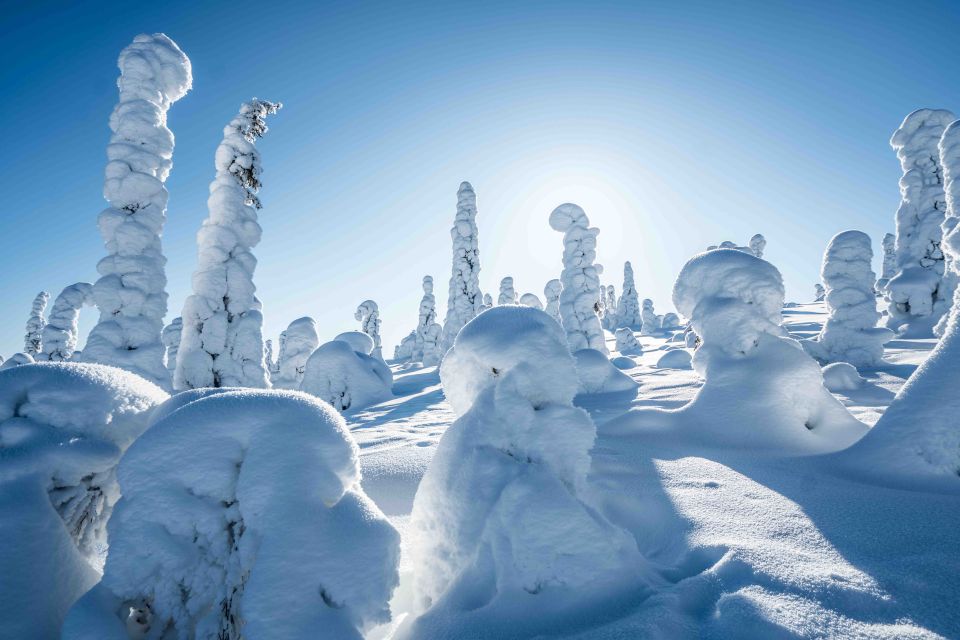 From Rovaniemi: Riisitunturi Full-Day Wilderness Adventure - Tips for the Adventure