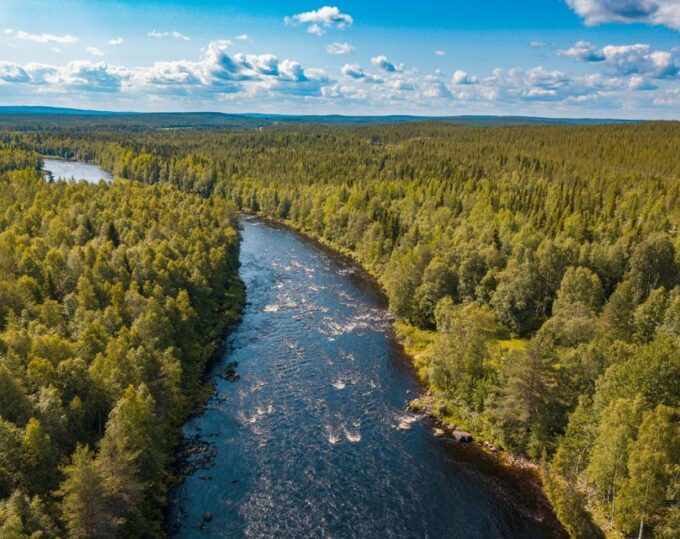 From Rovaniemi: Vikaköngäs Forest Hiking Tour With BBQ - Frequently Asked Questions