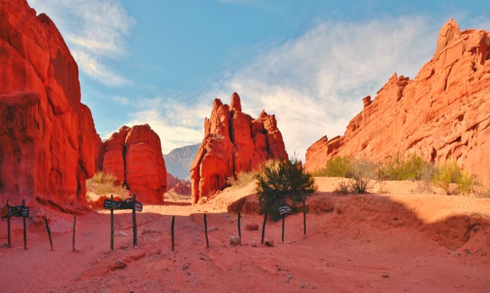 From Salta: Cafayate and the Imposing Quebrada De Las Conchas - Language and Tour Guidance