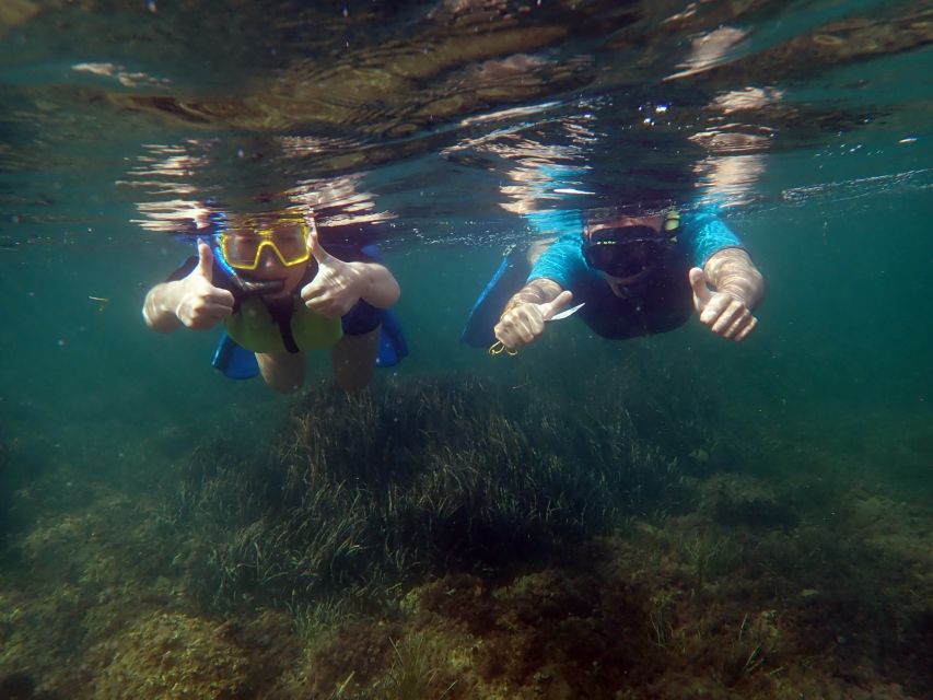 From Santa Pola: Snorkel Trip in Tabarca Island - Frequently Asked Questions