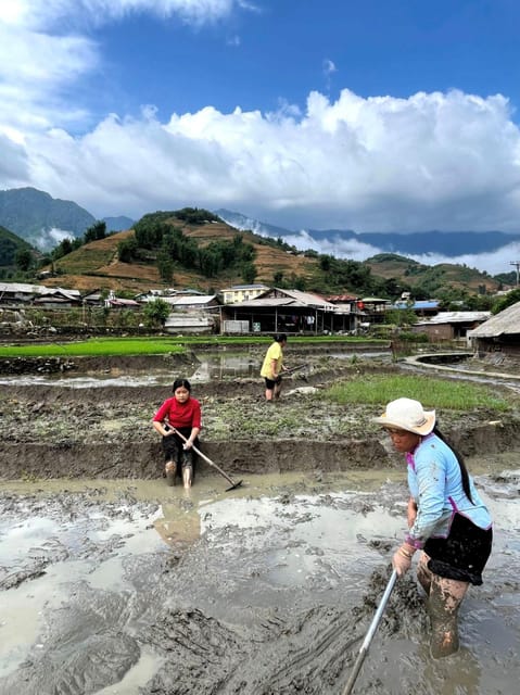 From Sapa - 1D Trek: Walk Through Bamboo Forest With Lunch - Taking in Local Culture