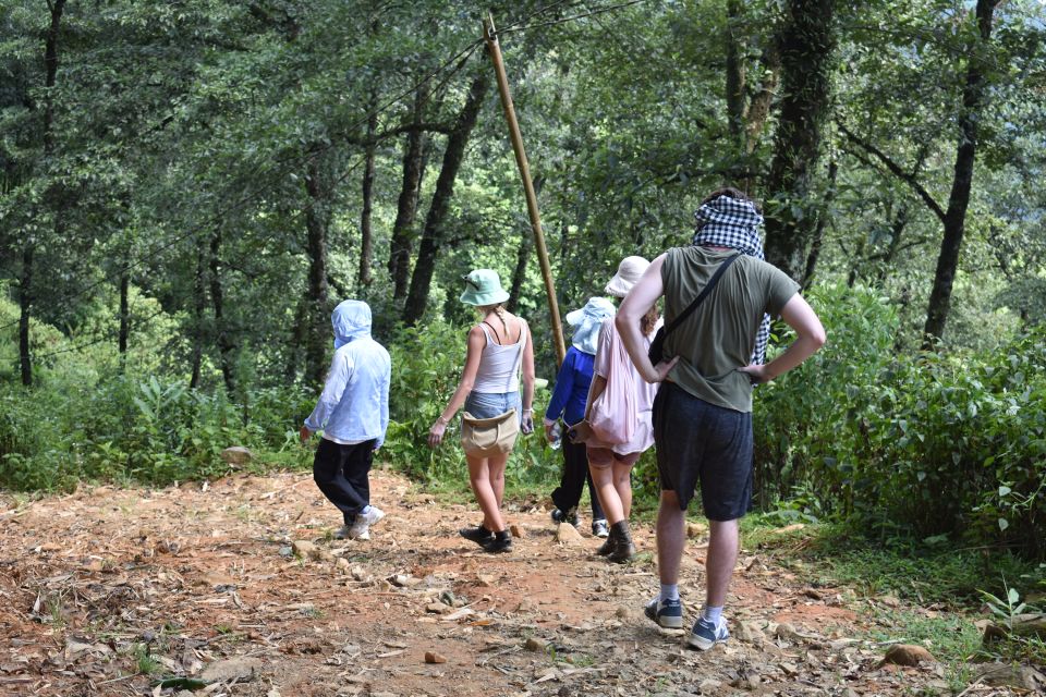 From Sapa: 2D1N Sapa Trekking Tour With Local Expert - Customer Experiences