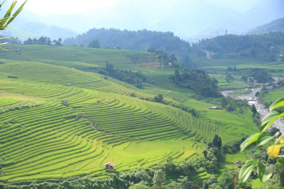 From Sapa: Sapa Full Day Trekking With Lunch - Pricing Information