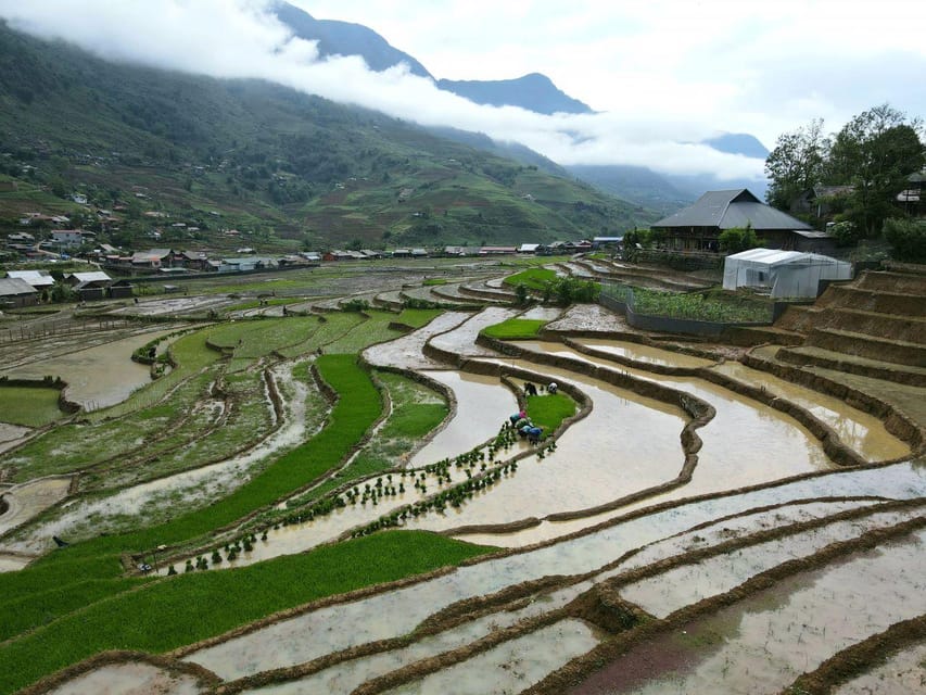 From Sapa: Trek 2 Day - Rice Terrace - Homestay in Ta Van - Encounter Red Dzao Tribe