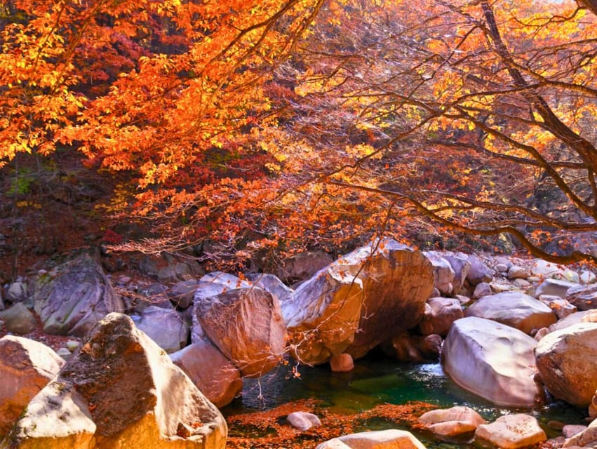 From Seoul: Seoraksan Maple Mountain With Cable Car - Autumn Leaf Viewing