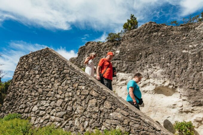 From South Tenerife: La Gomera Island Day Trip With Lunch - Discover Garajonay National Park