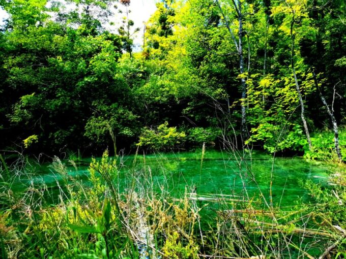 From Split: Plitvice Lakes Full-Day Trip - Customer Reviews